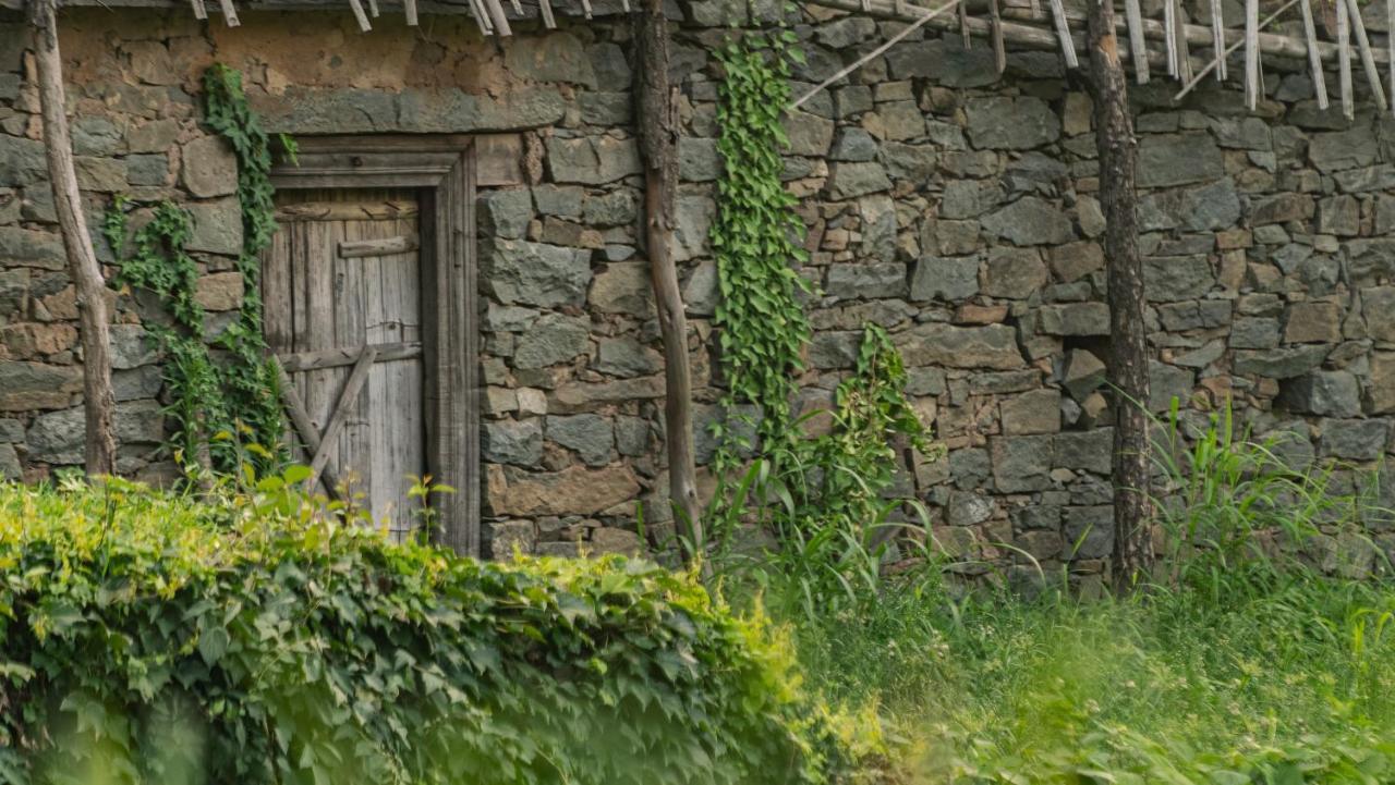 Amaya Kasauli Exterior photo